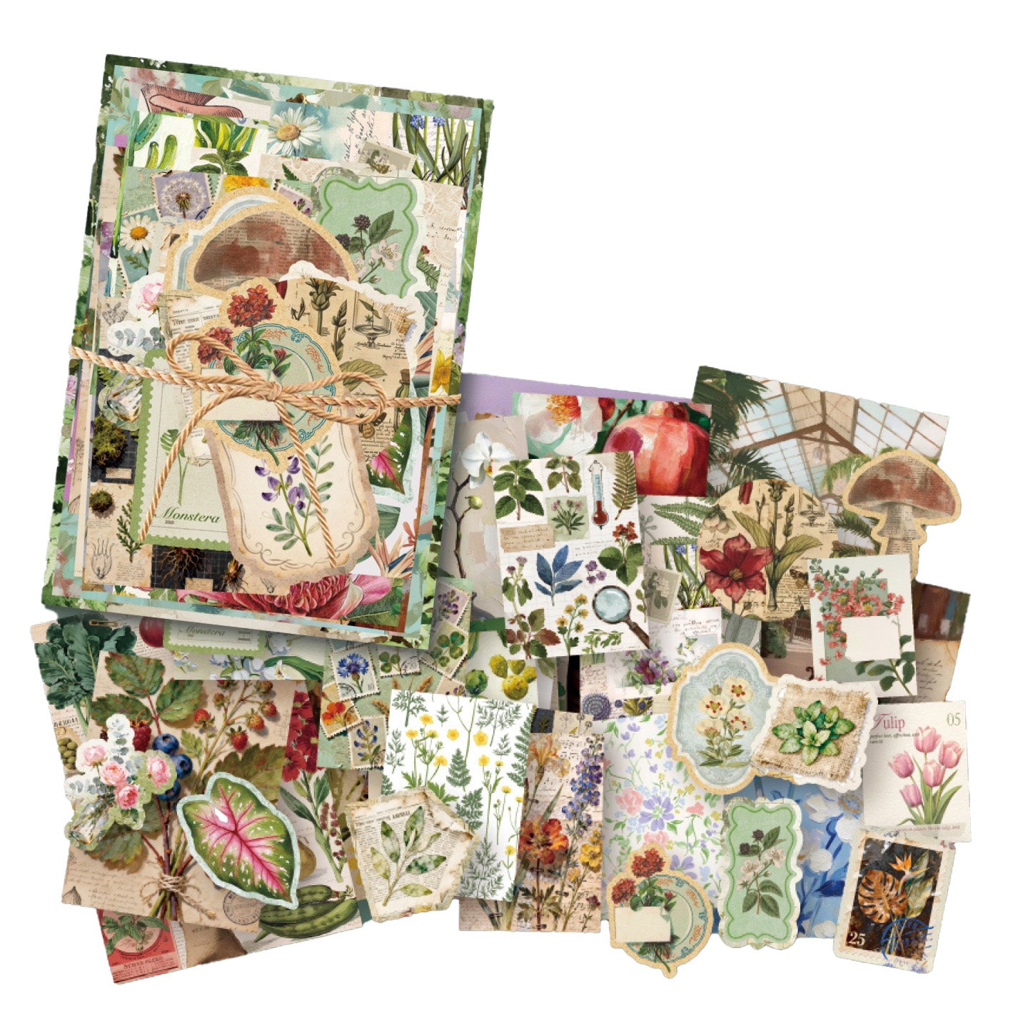 100PCS Botanical Nature Journal Paper VMP14
