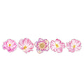 10 Pcs Large Begonia PET Stickers XYXBB