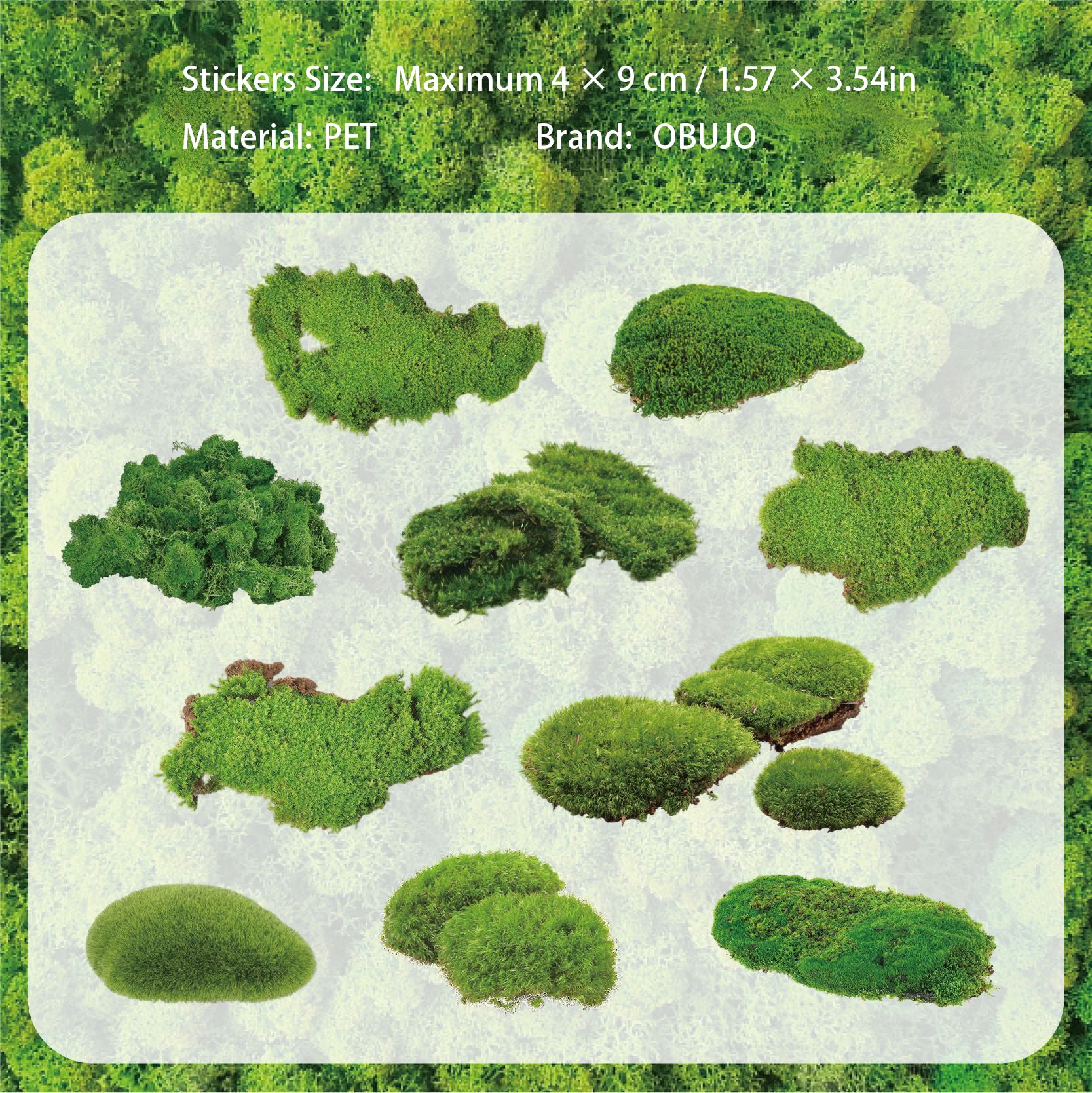 20 Pcs Moss Wooden PET Stickers TXXL