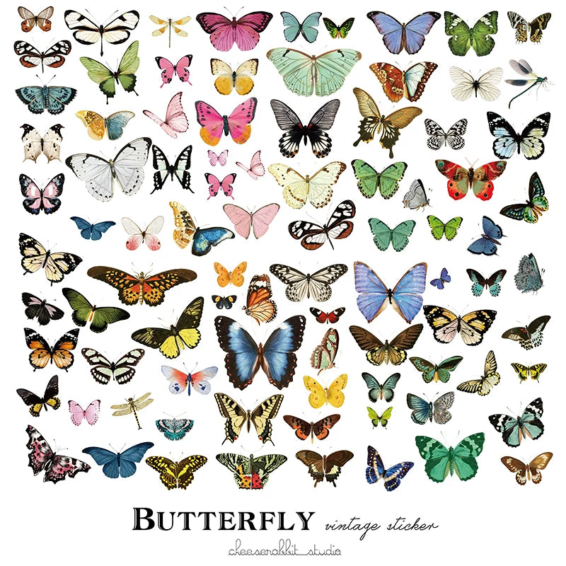 Vintage colorful butterfly vellum scrapbook stickers 4