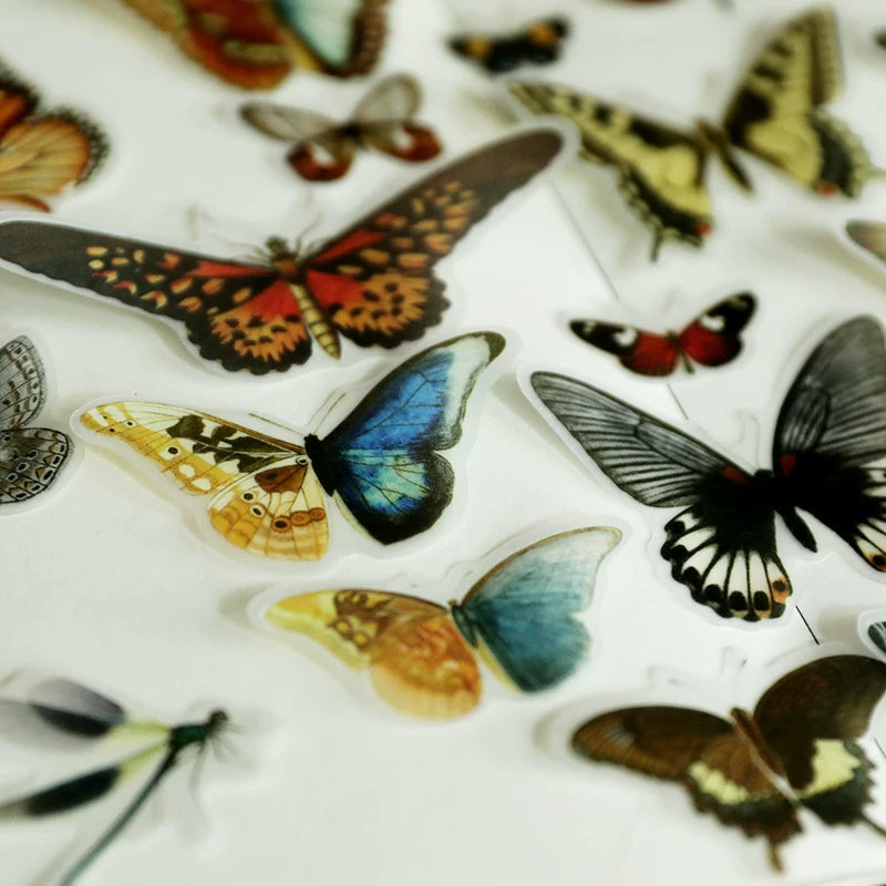 Vintage colorful butterfly vellum scrapbook stickers 5