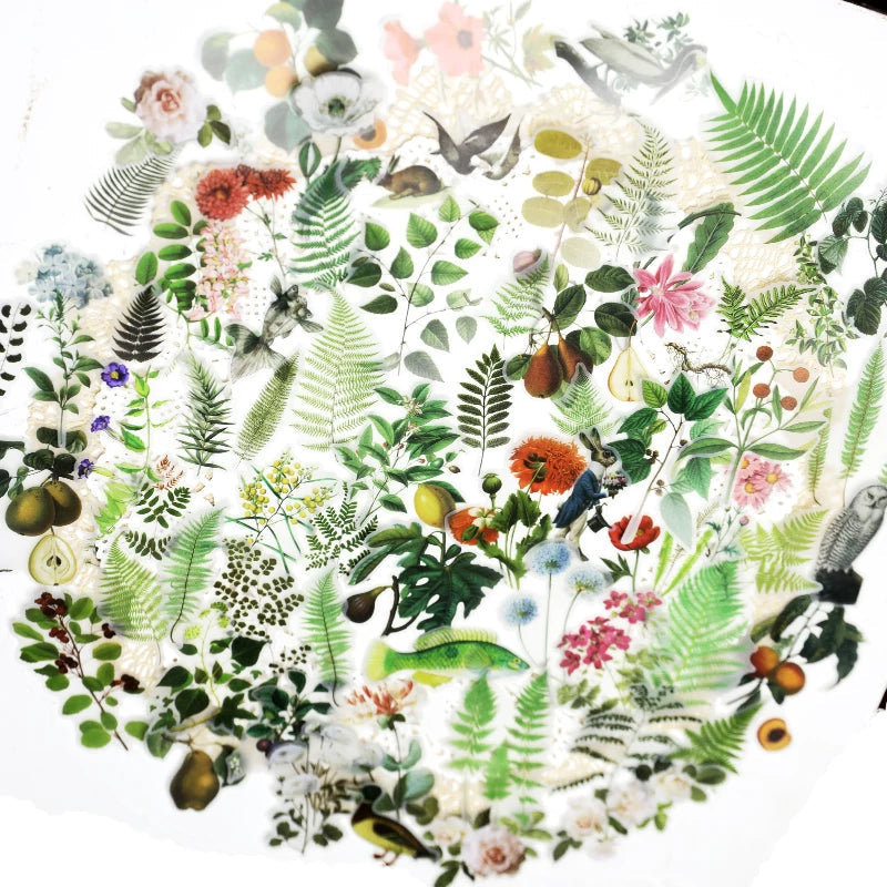 Vintage fern botanical floral fruit and nature self-adhesive vellum scrapbook stickers 2