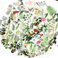 Vintage fern botanical floral fruit and nature self-adhesive vellum scrapbook stickers 2