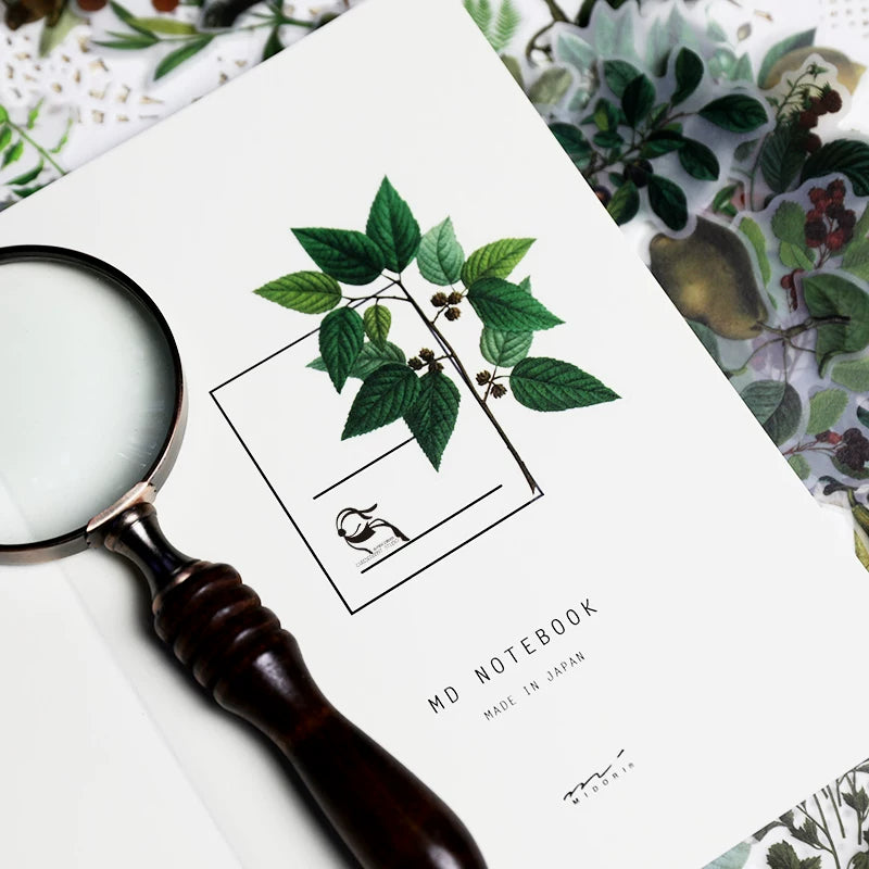 Vintage fern botanical floral fruit and nature self-adhesive vellum scrapbook stickers 3