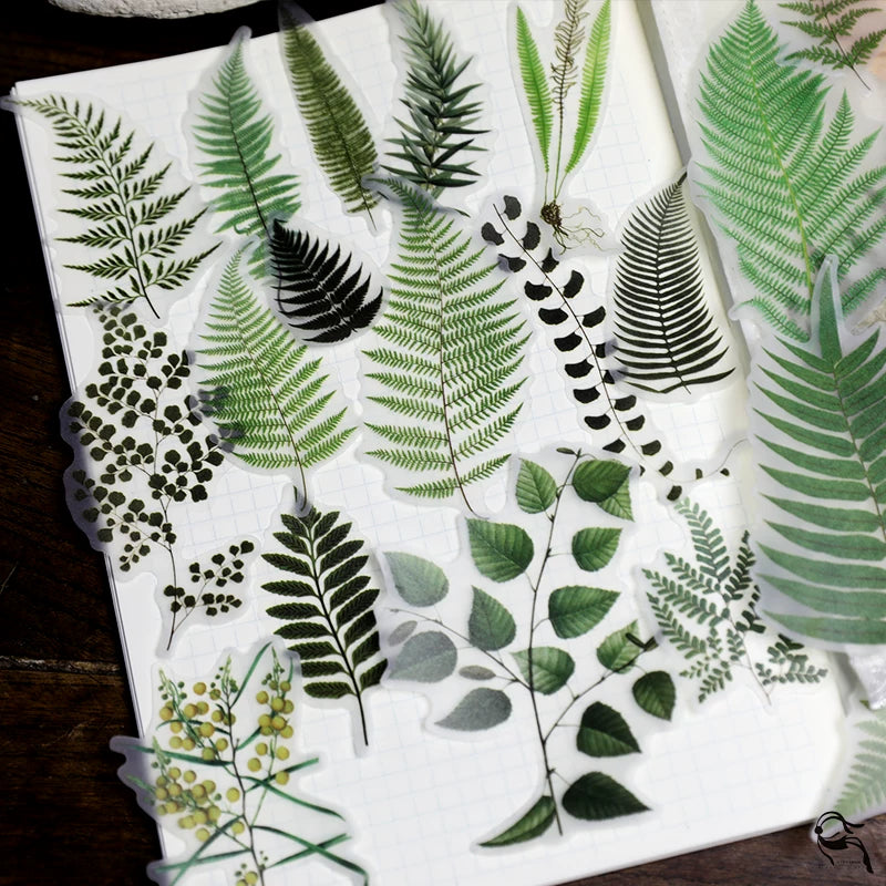Vintage fern botanical floral fruit and nature self-adhesive vellum scrapbook stickers 7