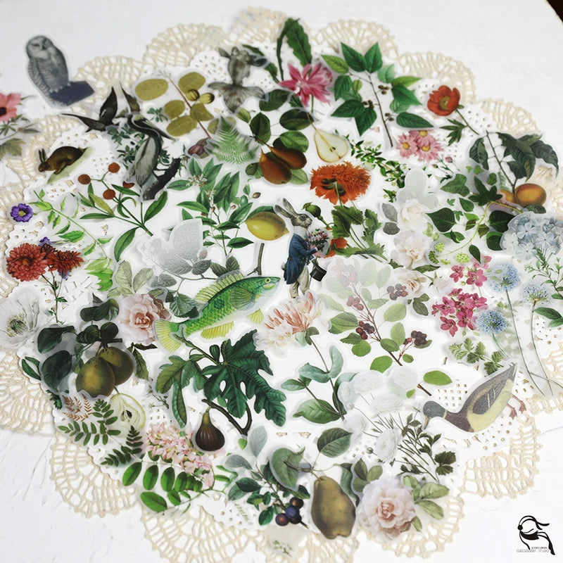 Vintage fern botanical floral fruit and nature self-adhesive vellum scrapbook stickers 8