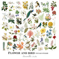 56PCS vintage flower and bird vellum sticker set