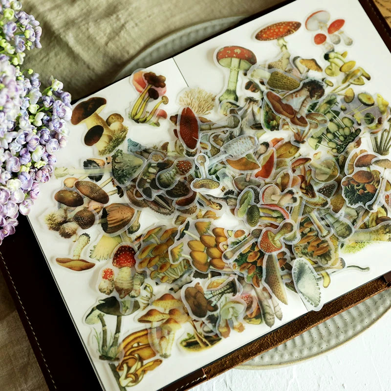 Translucent mushroom stickers for scrapbooking and collage