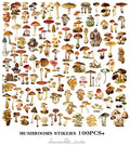 Vintage mushroom sticker pack for nature journaling