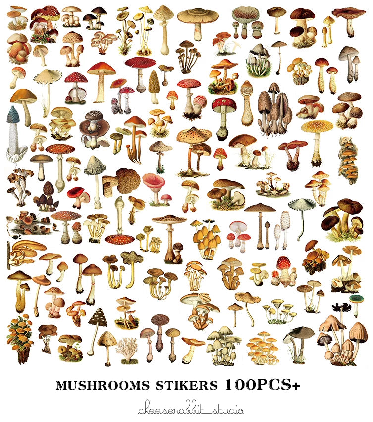 Vintage mushroom sticker pack for nature journaling