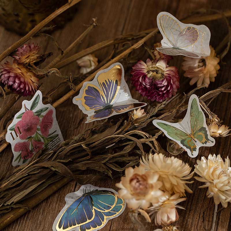 Fusy Boxed Washi Stickers