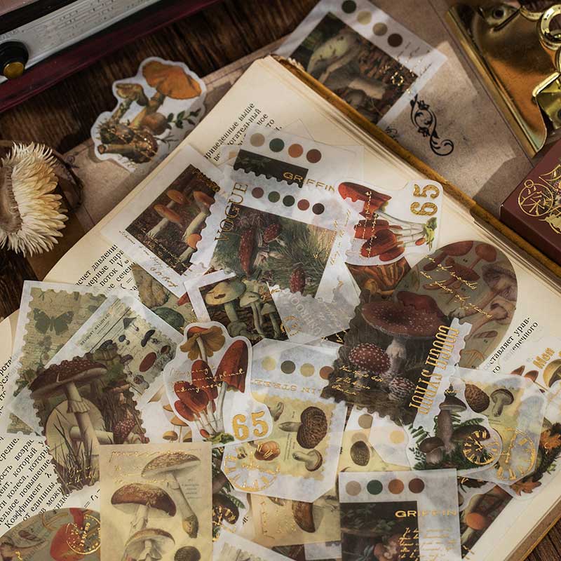 Fusy Boxed Washi Stickers