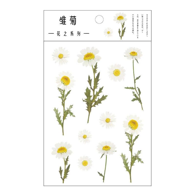 Chrysanthemum Stickers - OBUJO
