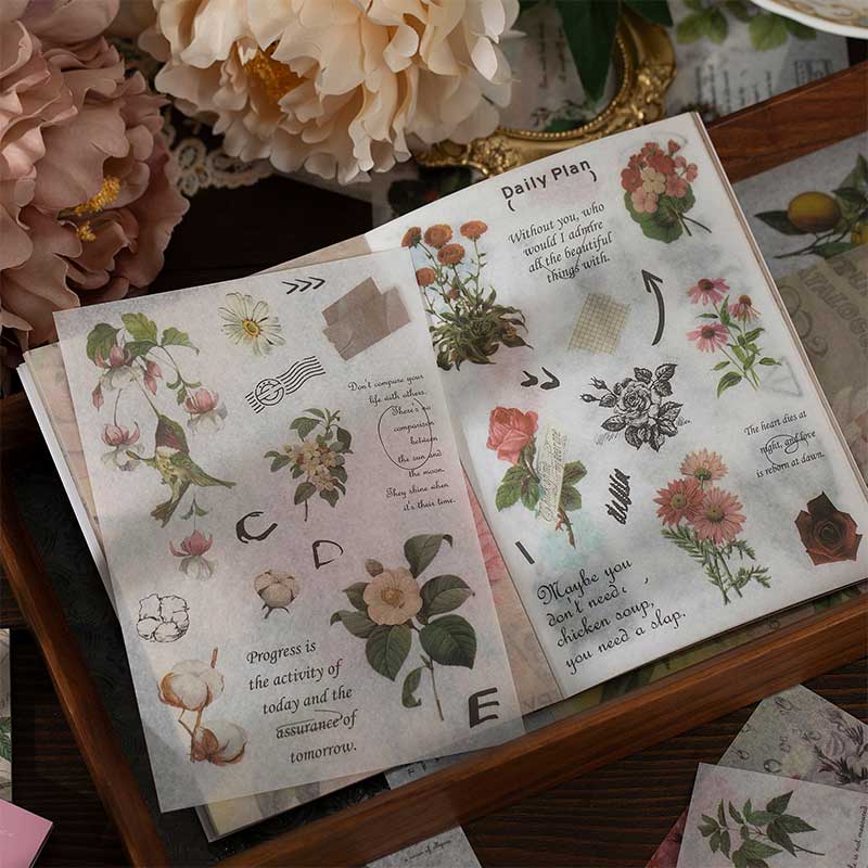 Ranian Washi Sticers Book