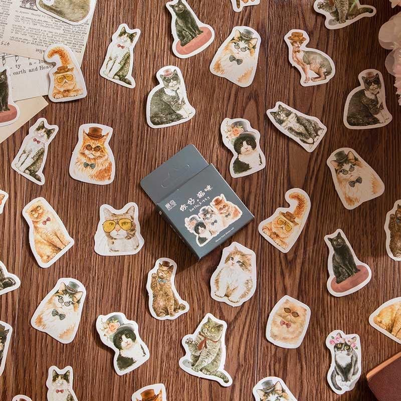 Katy Boxed Stickers - OBUJO