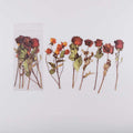 6 Pcs Crimson Dusk Large Dried Rose Stickers CFHYD