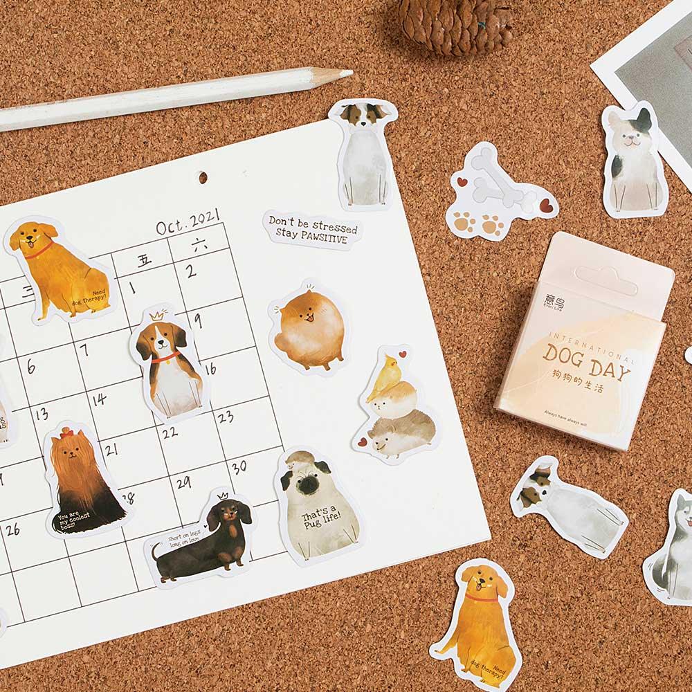 Daodo Boxed Stickers - OBUJO