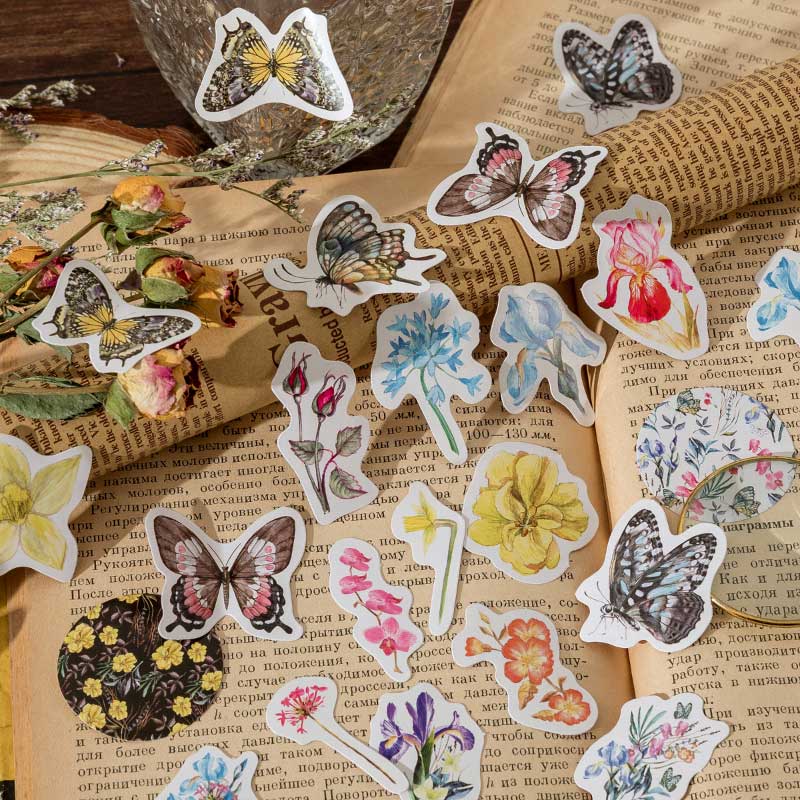 Deyuan Boxed Stickers