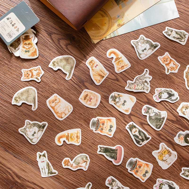 Katy Boxed Stickers - OBUJO