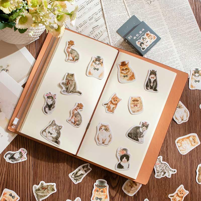 Katy Boxed Stickers - OBUJO