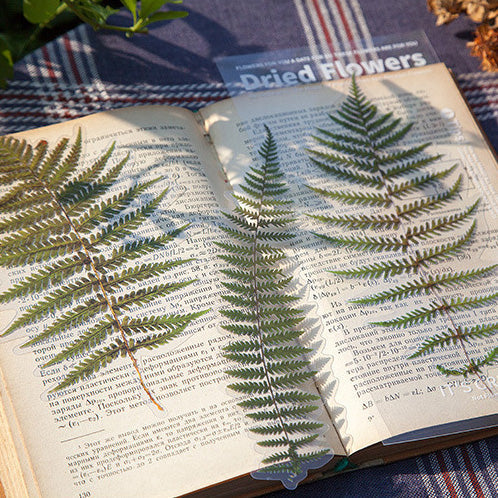 Daoxi Large Size Flower Stickers CFHY