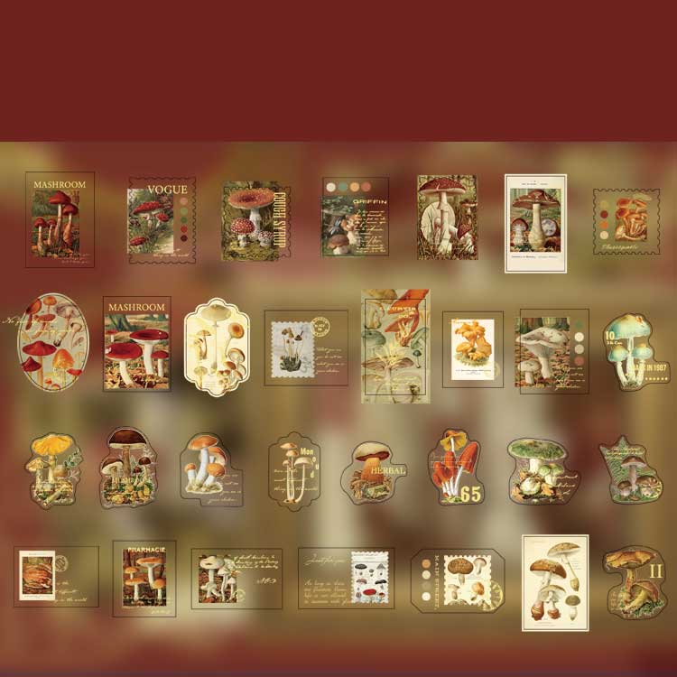 Fusy Boxed Washi Stickers