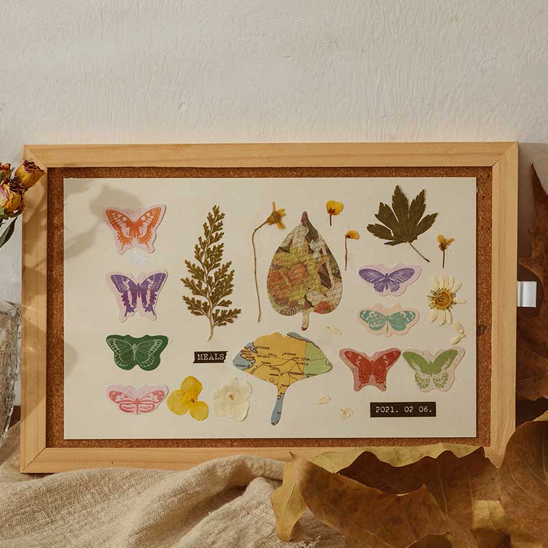 Tuoyin Boxed Stickers