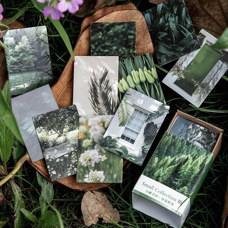 Digo Paper Card Materials - OBUJO