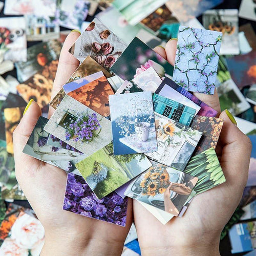 Digo Paper Card Materials - OBUJO