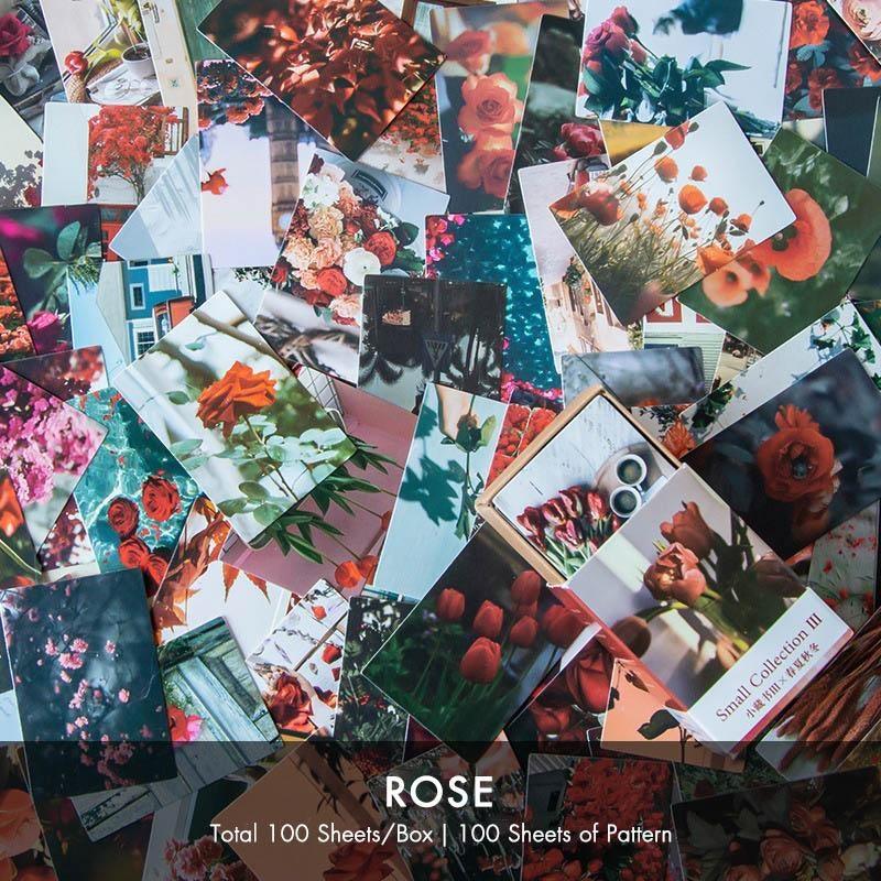 Digo Paper Card Materials - OBUJO