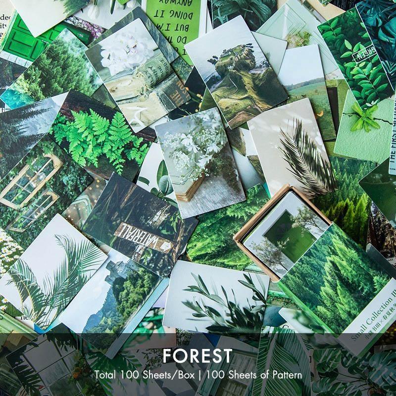Digo Paper Card Materials - OBUJO