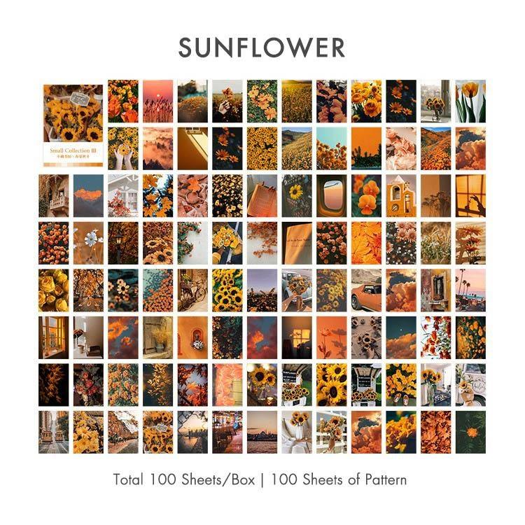 Digo Paper Card Materials - OBUJO