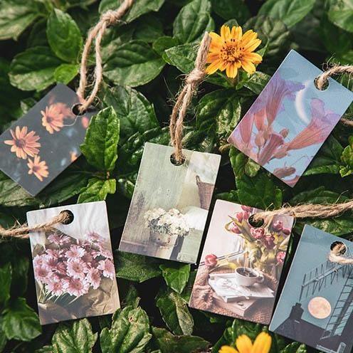 Digo Paper Card Materials - OBUJO