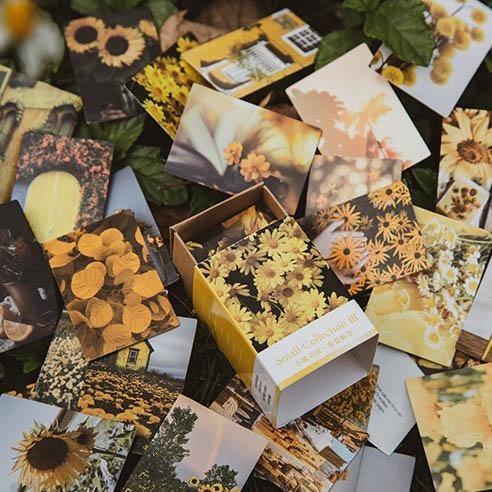 Digo Paper Card Materials - OBUJO