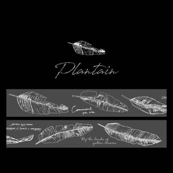 Maji PET Tape Stickers - OBUJO