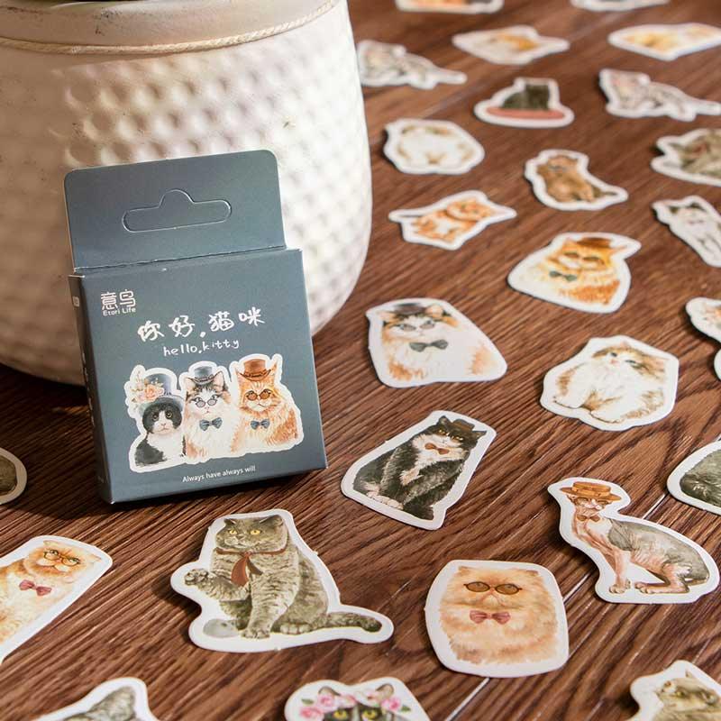 Katy Boxed Stickers - OBUJO