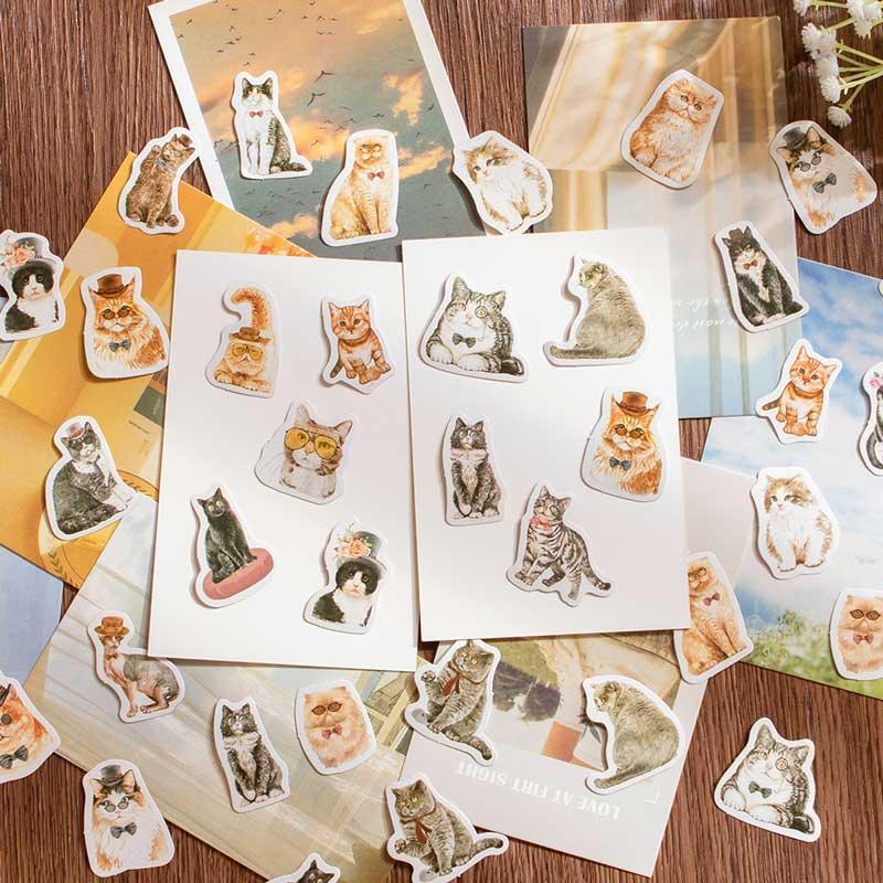 Katy Boxed Stickers - OBUJO