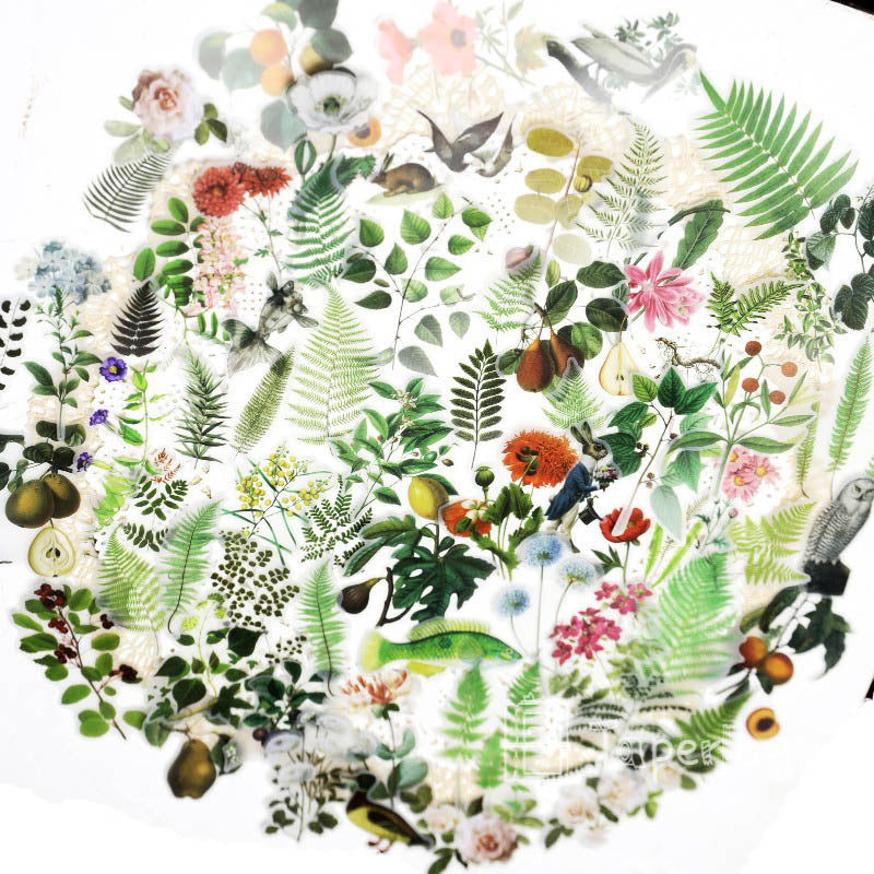 Jeli Floral Vellum Stickers