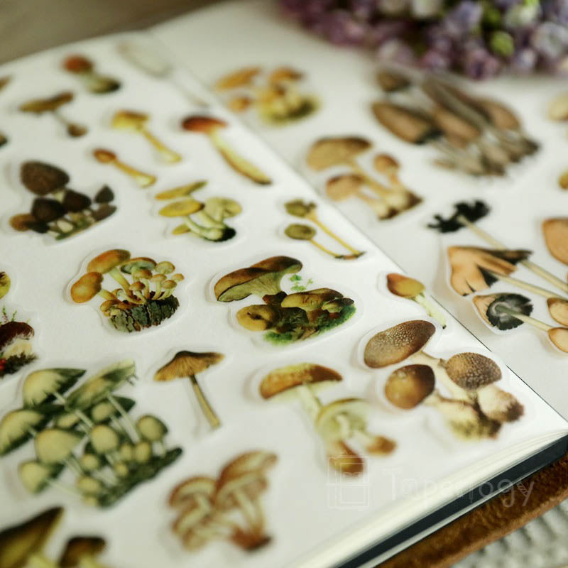Mootu Mushroom Vellum Stickers