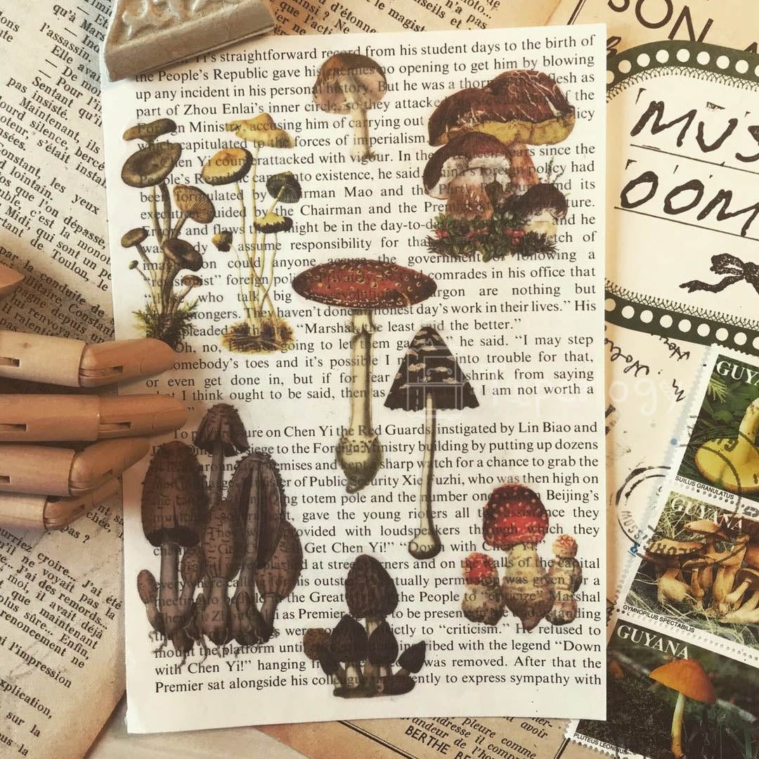Mootu Mushroom Vellum Stickers