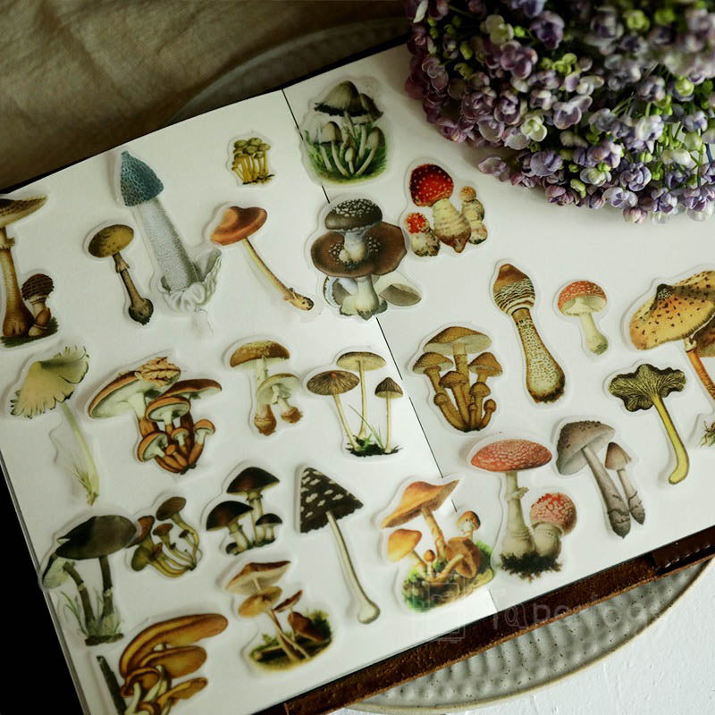 Mootu Mushroom Vellum Stickers