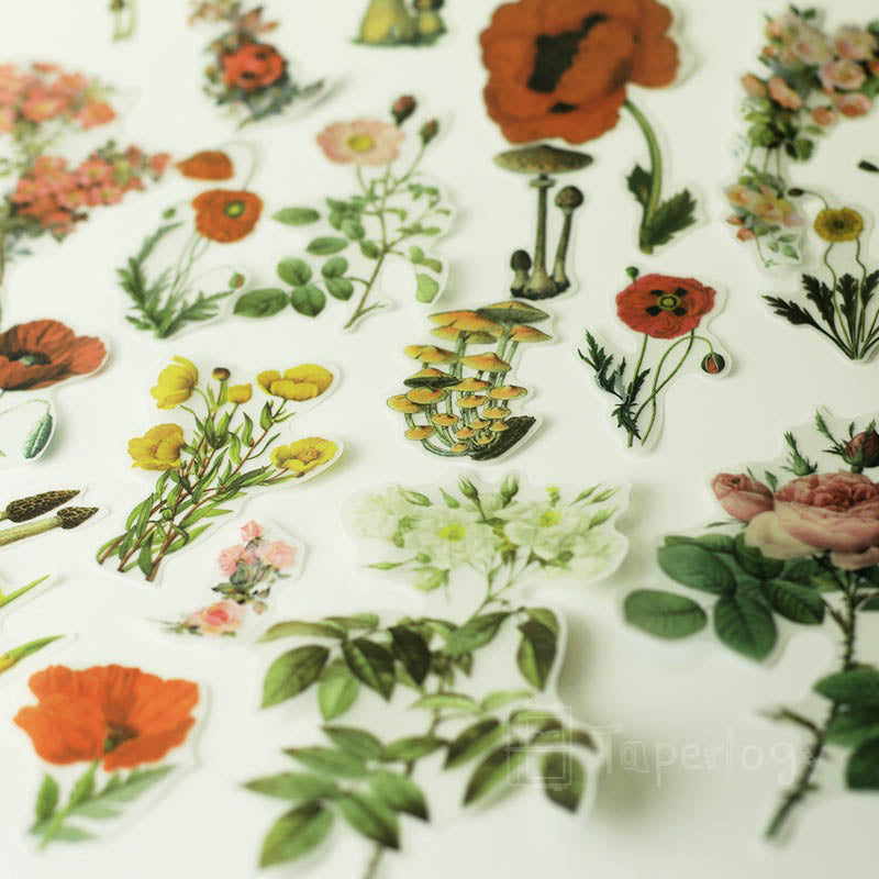 Halo Floral Vellum Stickers Pack