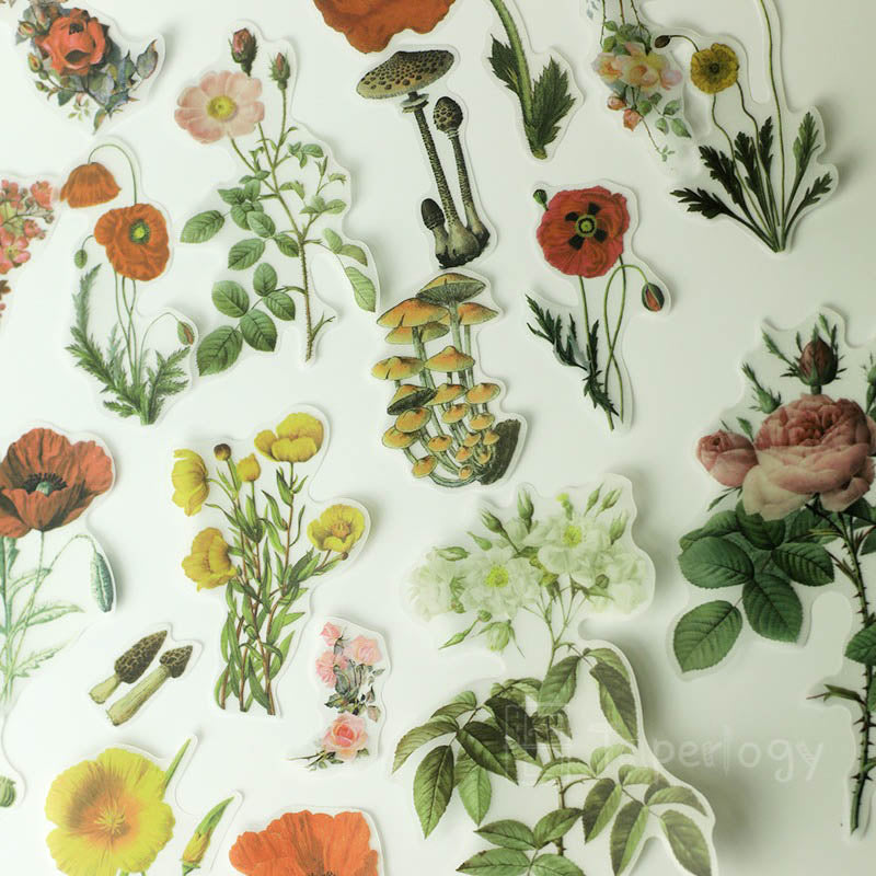 Halo Floral Vellum Stickers Pack