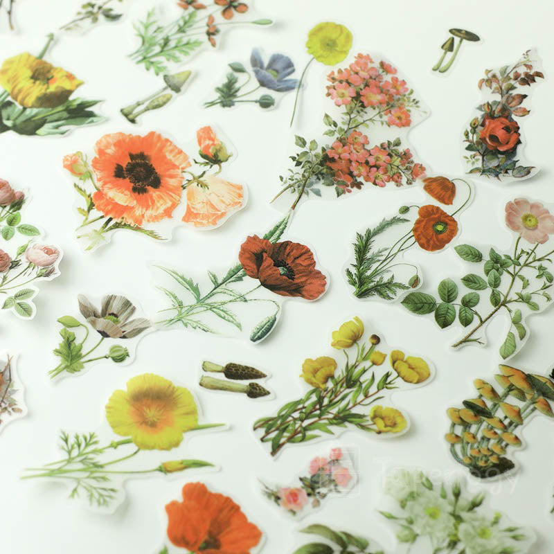 Halo Floral Vellum Stickers Pack