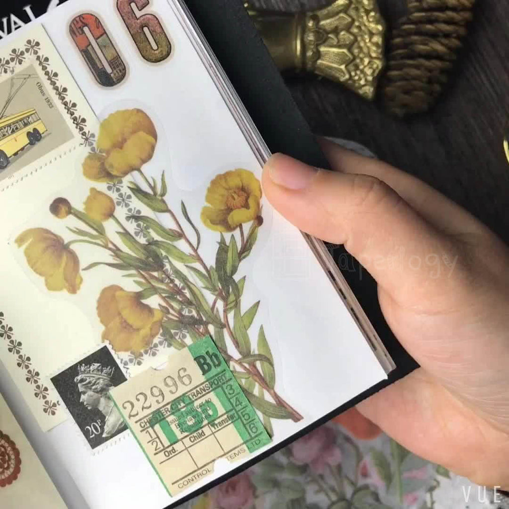 Halo Floral Vellum Stickers Pack