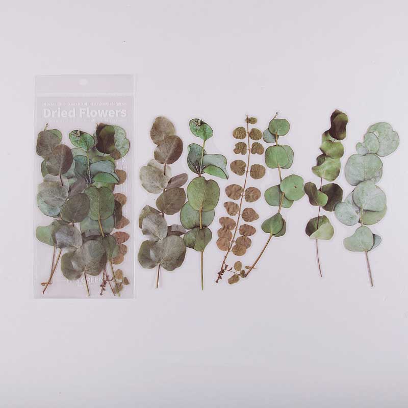 6 Pcs Spring Herbarium Large Pressed Flower Stickers CFHYA