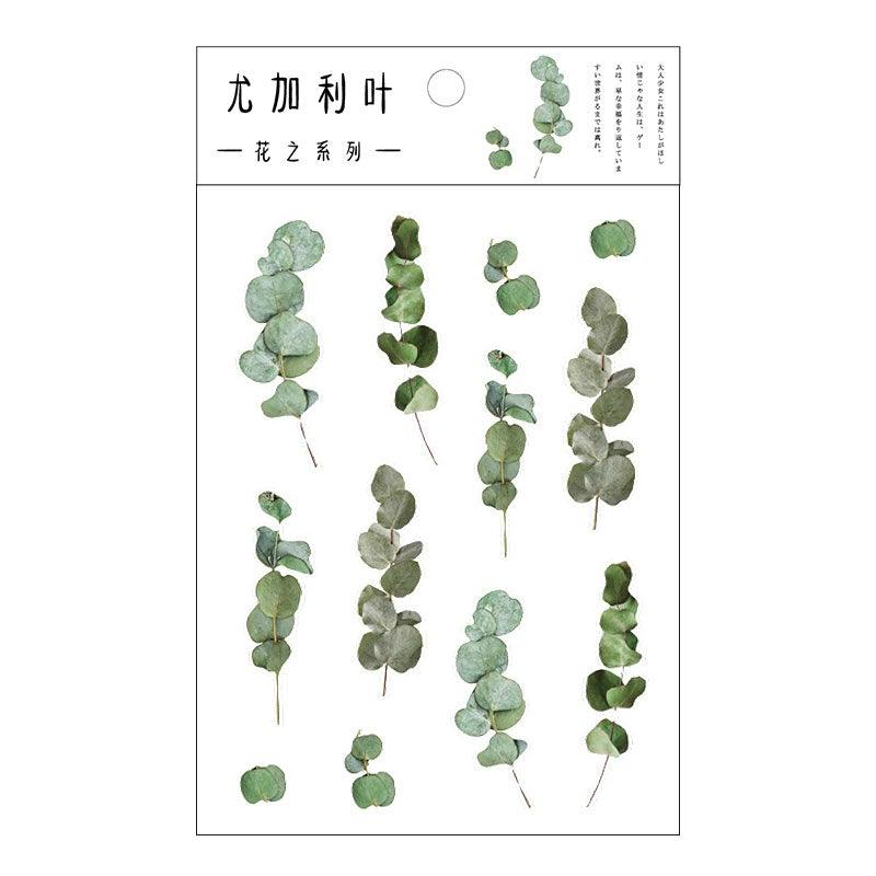 Eucalyptus Stickers - OBUJO