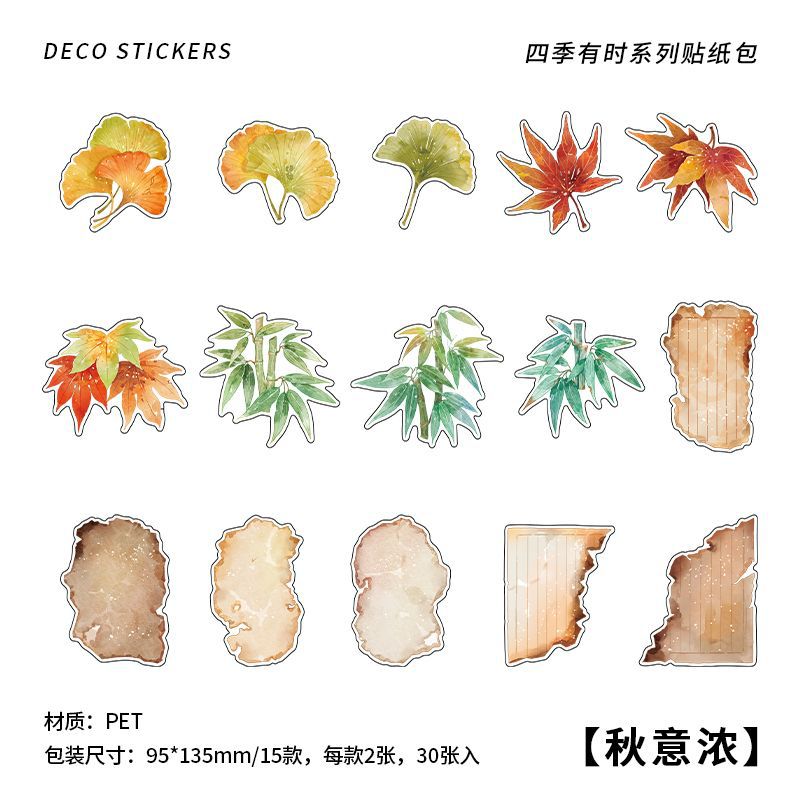 30pcs PET Life Stickers SJYS