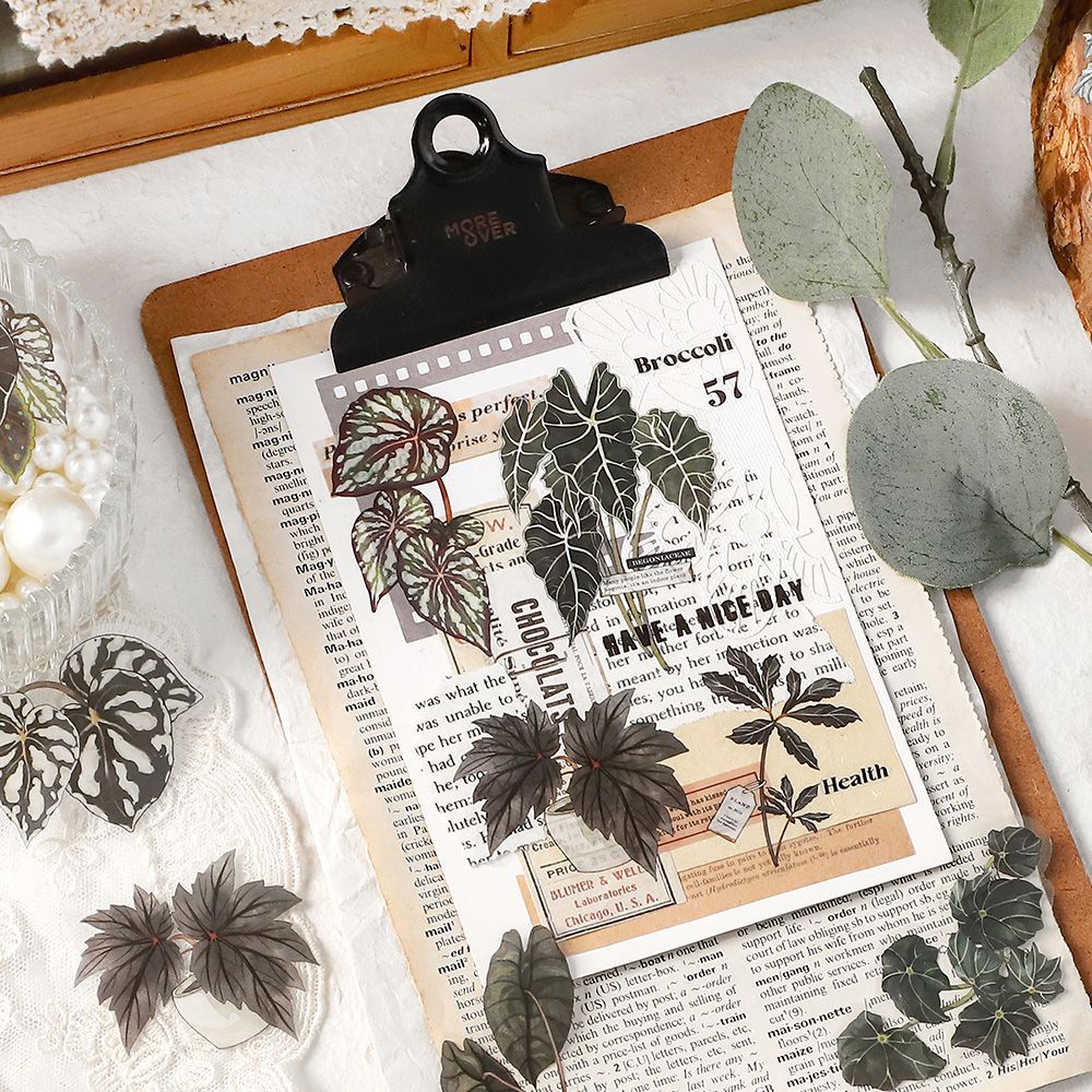 30pcs Nature Stickers LZYJ
