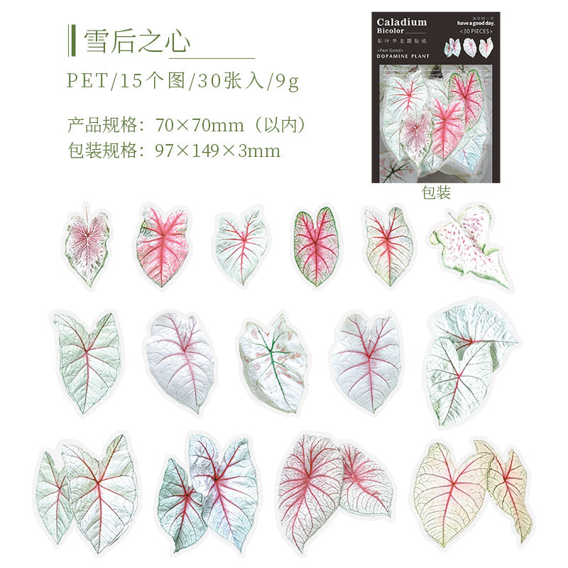 30pcs PET Leaf Stickers FZSY
